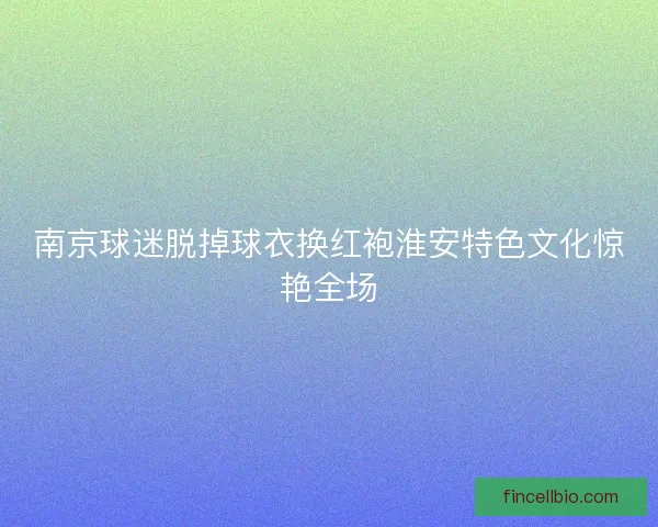 南京球迷脱掉球衣换红袍淮安特色文化惊艳全场