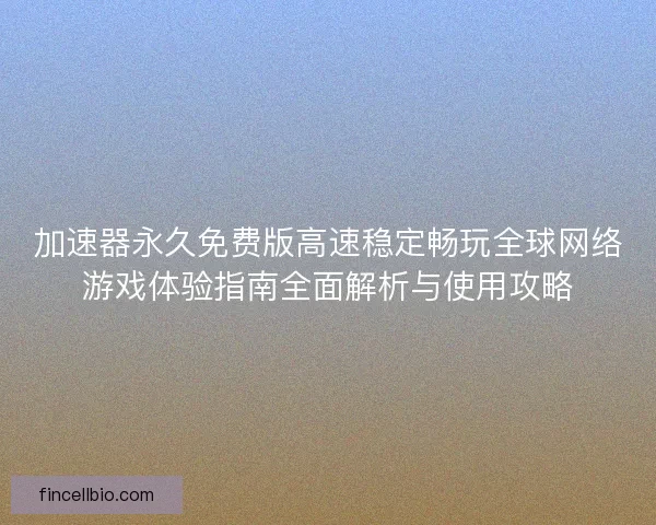 加速器永久免费版高速稳定畅玩全球网络游戏体验指南全面解析与使用攻略