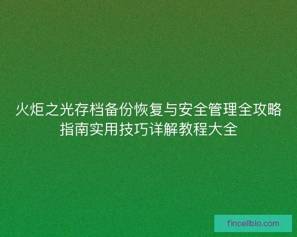 火炬之光存档备份恢复与安全管理全攻略指南实用技巧详解教程大全 火炬之光存档备份恢复与安全管理全攻略指南实用技巧详解教程大全