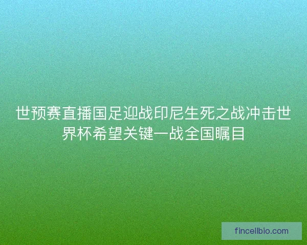 世预赛直播国足迎战印尼生死之战冲击世界杯希望关键一战全国瞩目