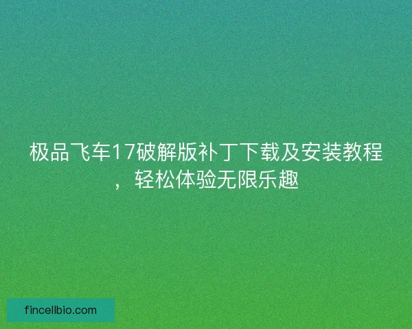 极品飞车17破解版补丁下载及安装教程，轻松体验无限乐趣