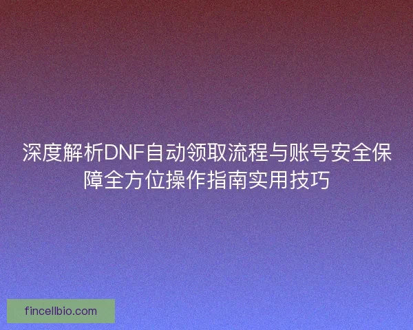 深度解析DNF自动领取流程与账号安全保障全方位操作指南实用技巧