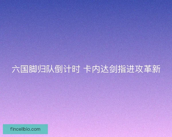 六国脚归队倒计时 卡内达剑指进攻革新