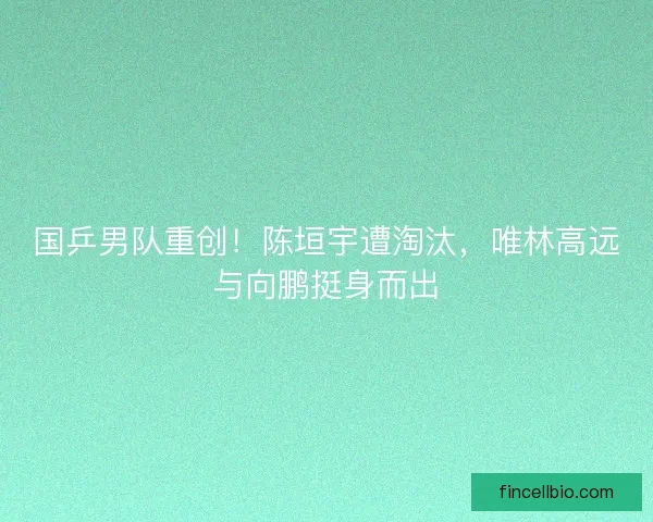 国乒男队重创！陈垣宇遭淘汰，唯林高远与向鹏挺身而出